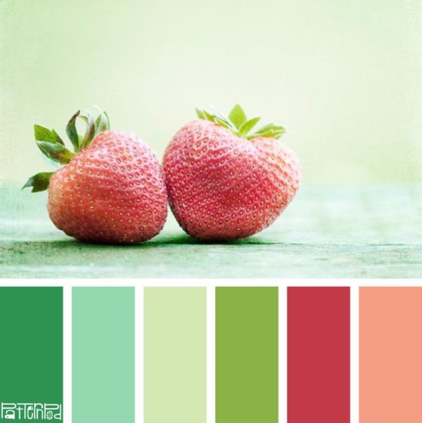 Цветовая палитра теплая осень