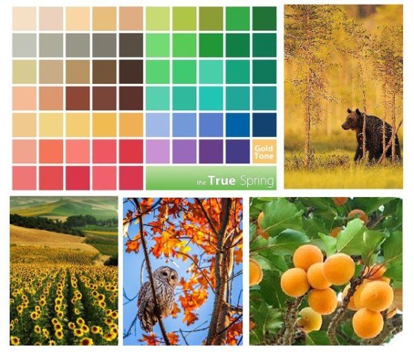 Краски кисти карандаши