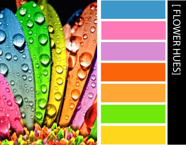 Теплая гамма цветов