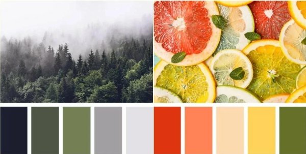 Холодное лето цветотип палитра