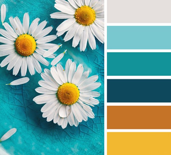 Сочетание цветов в иллюстрации