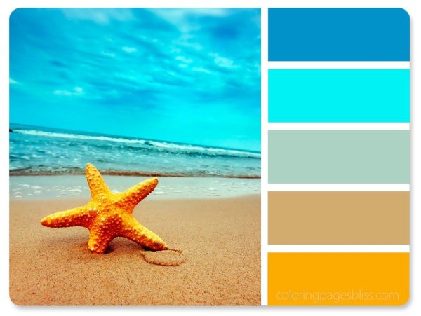 Сочетания ярких сочных цветов