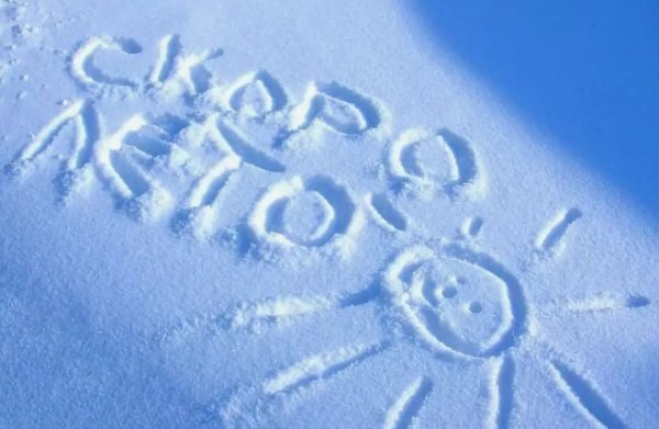 Оракал на стекло авто