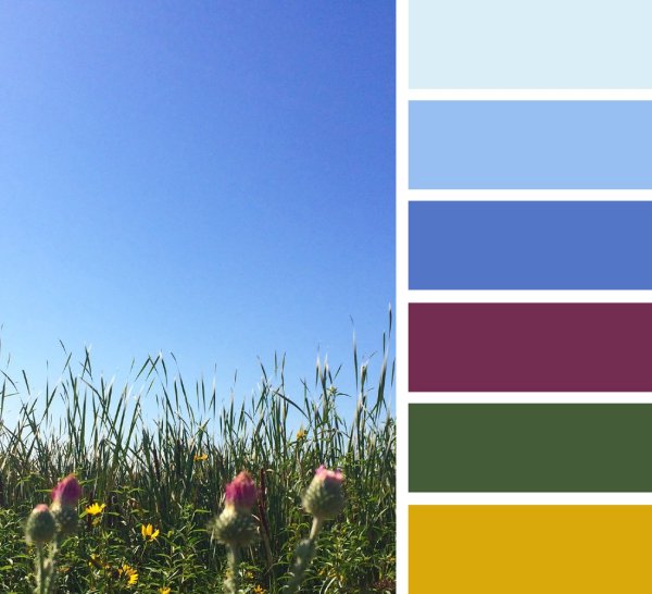 Цветовая палитра для цветотипа светлая Весна