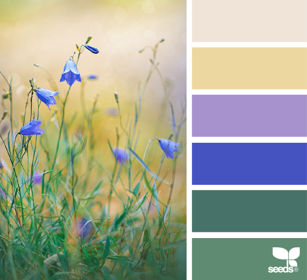 Природная палитра