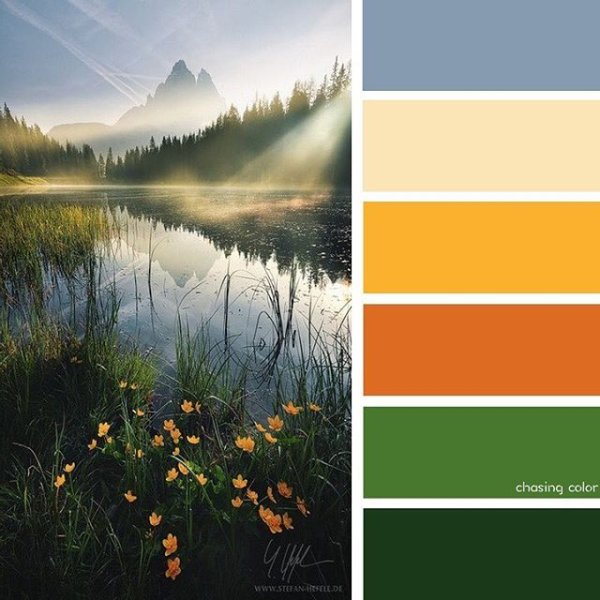 Палитра цветов