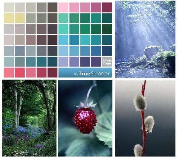 Цветовые сочетания песочный