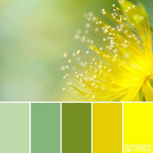 Цветовая палитра