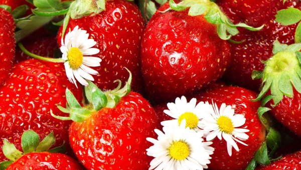 Красивые фрукты