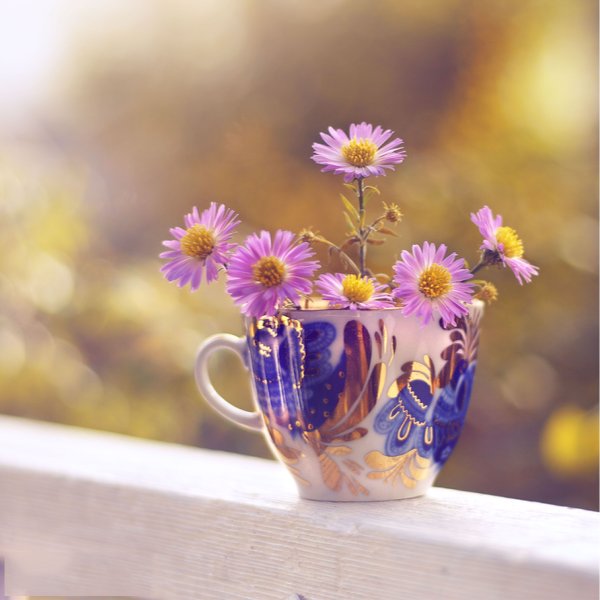 С добрым утром воскресенья