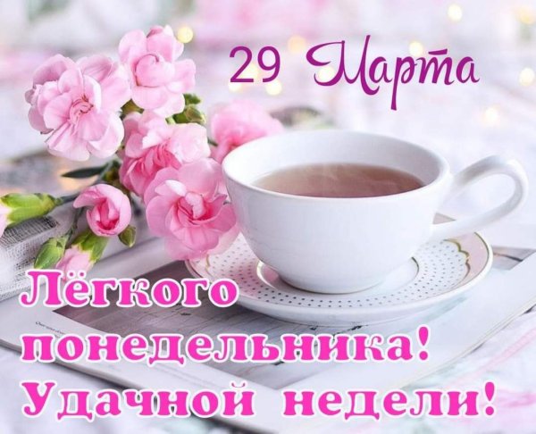 Утренний букет ромашек