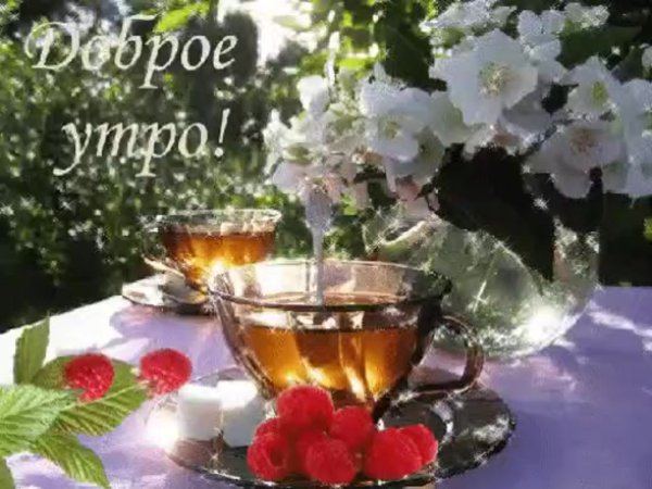 Открытки с добрым утром воскресенья