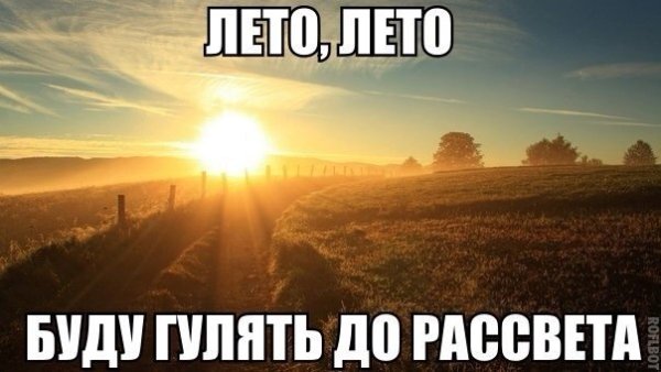 Мем Властелин колец Боромир