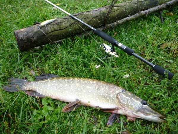 Рыбалка на щуку