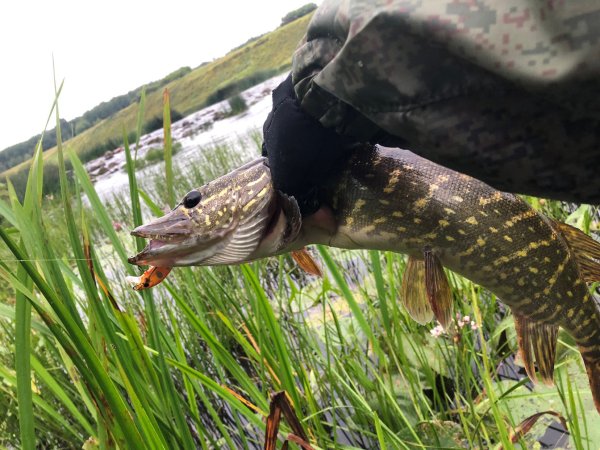 Рыбак с большой рыбой