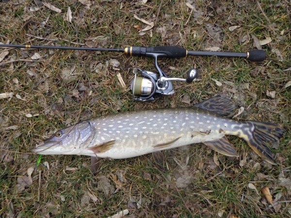 Поймал щуку