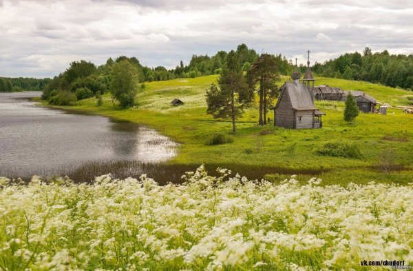 Деревня Родина Псковская область река