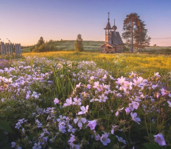 Кенозерский национальный парк часовни