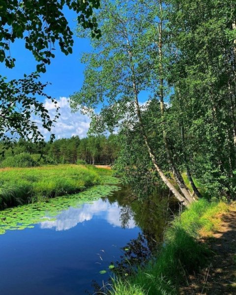 Архангельская облластьприрода