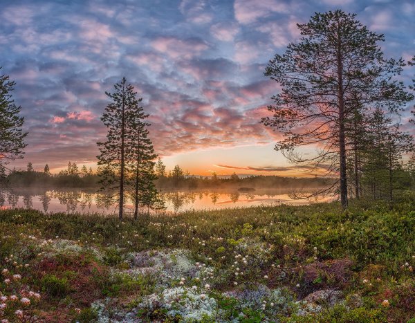 Деревня Кимжа Архангельской области