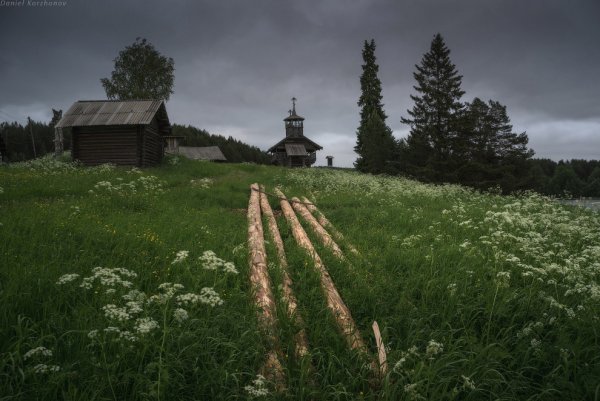 Природа севера Архангельская область
