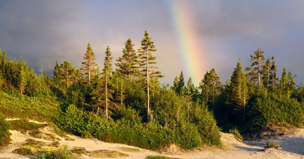 Архангельск Кенозерский национальный парк