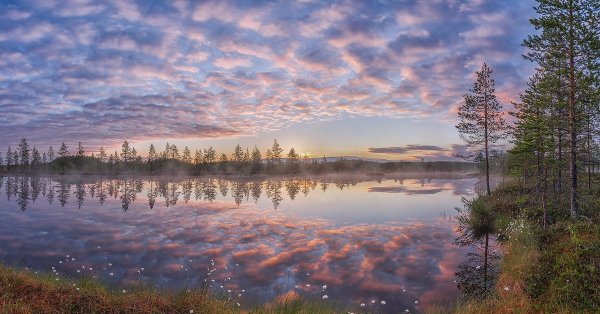 Озеро Кулой Архангельская область