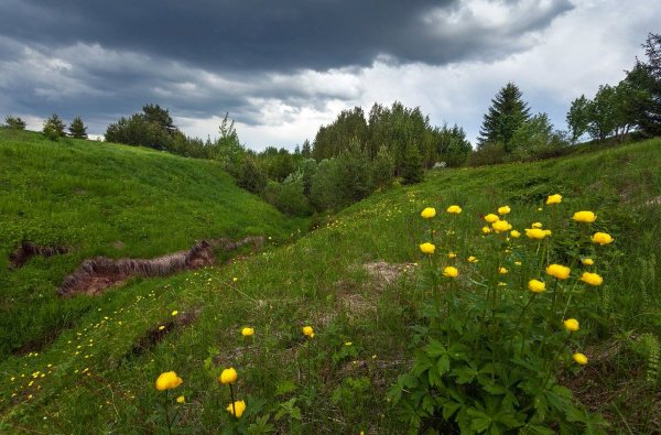Деревня Глазово, Кенозерье