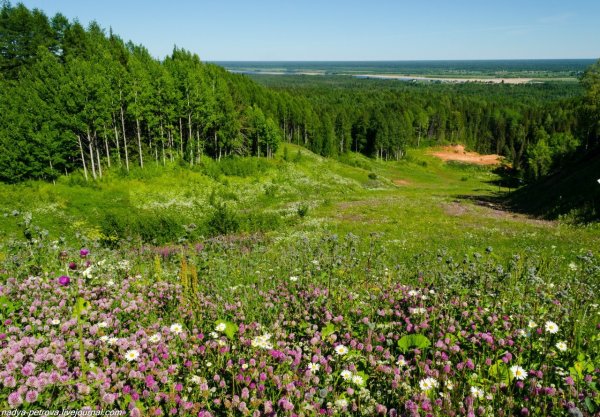 Архангельская область Северная Двина
