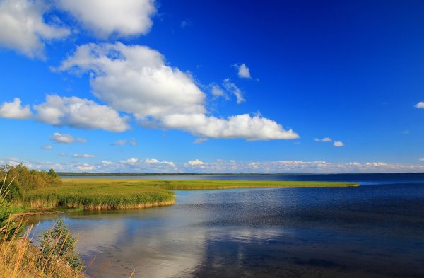 Заказники Устьянский район Архангельской области