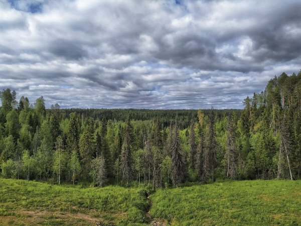 Озеро Кенозеро Архангельская область