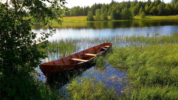 Деревня Кимжа Архангельской области