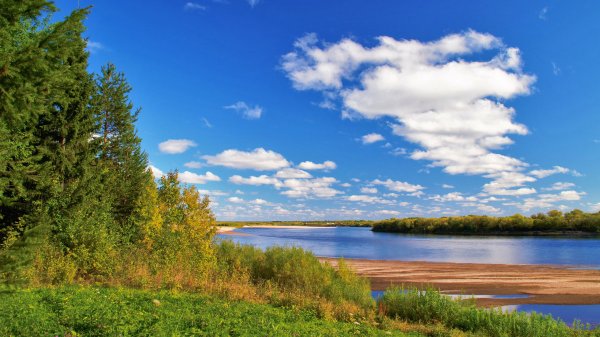 Река Пуя Архангельская область