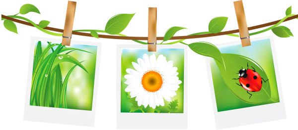 Атрибуты летнего отдыха в картинах