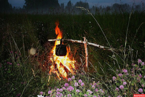 Орлёнок детский лагерь костер