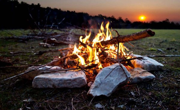 Природа лес костер