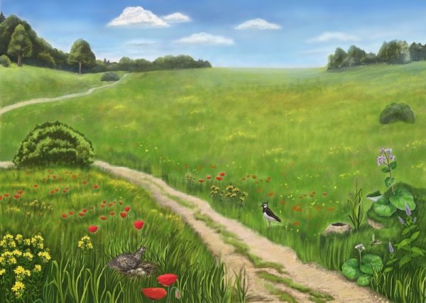 Лесная Поляна (Полянка) 1897