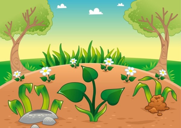 Лужайка в лесу