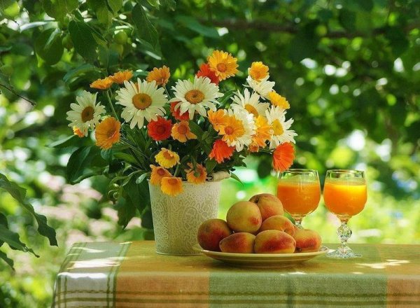 Прекрасного летнего дня