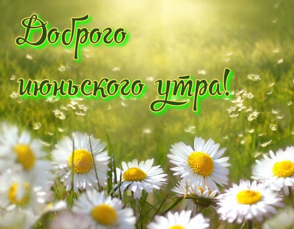 Весеннее утро в саду