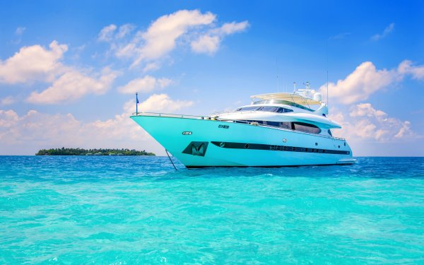 Ольга Старушкевич Псков