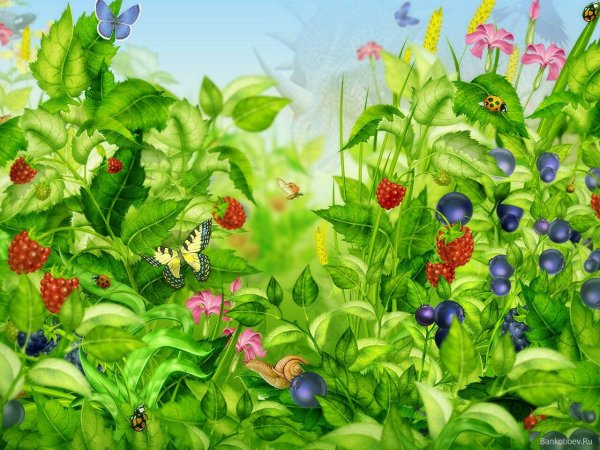 Сказочная Поляна с цветами