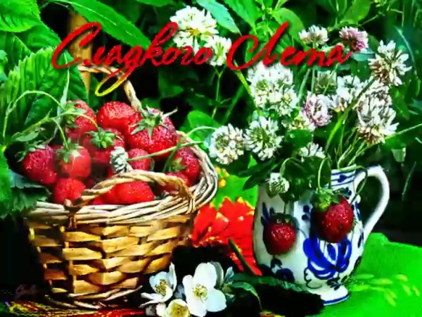 Лето день защиты детей