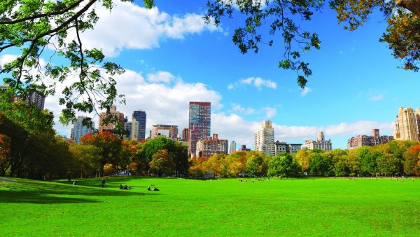 Центральный парк в Нью-Йорке панорама