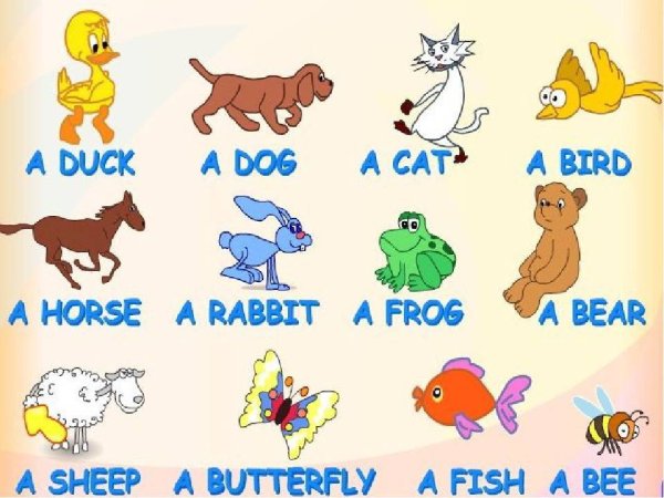 Животные на английском для детей