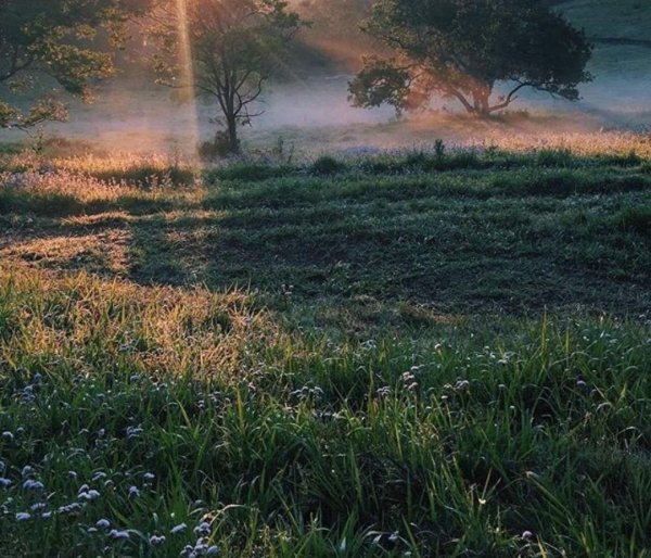Атмосферные пейзажи