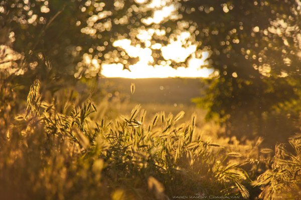 Лето Эстетика