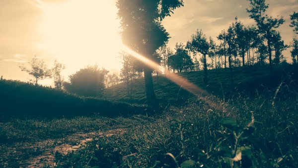 Атмосферные обои на рабочий стол