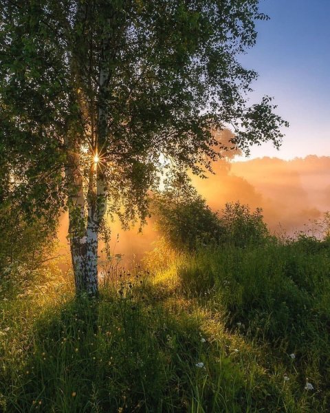 Раннее утро фото