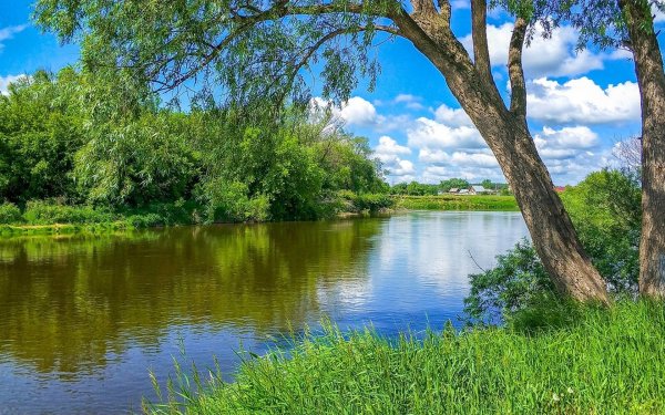 Фон природа берег река деревня